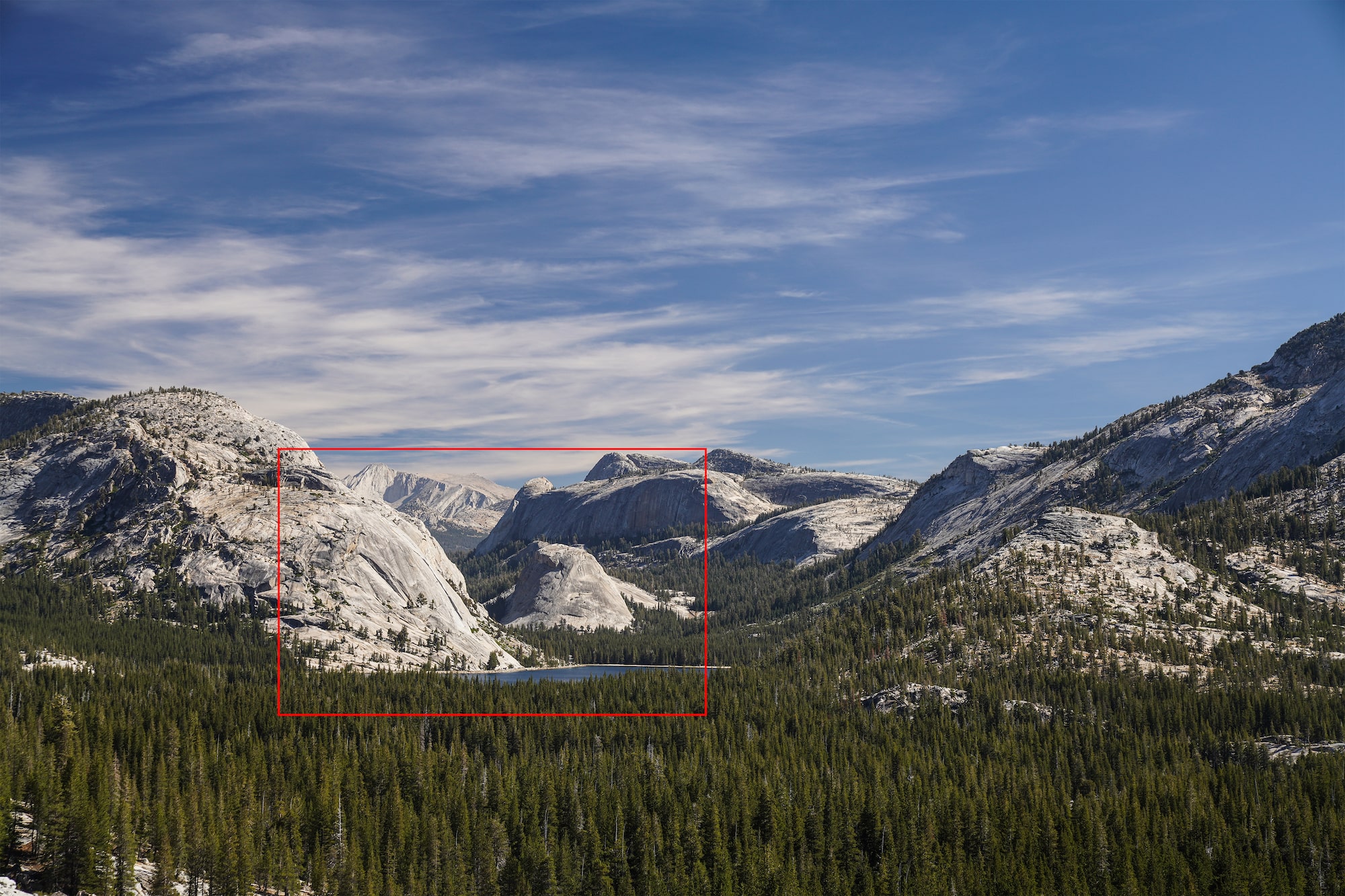 Sony&rsquo;s ILCE-7RM4 reveals the tiniest detail in superb resolution, even when the shot is zoomed in