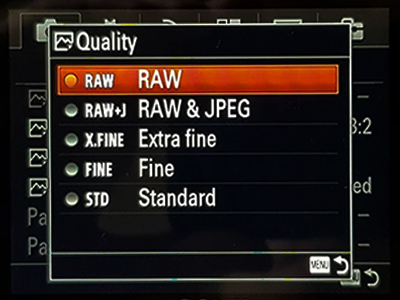 camera RAW setting