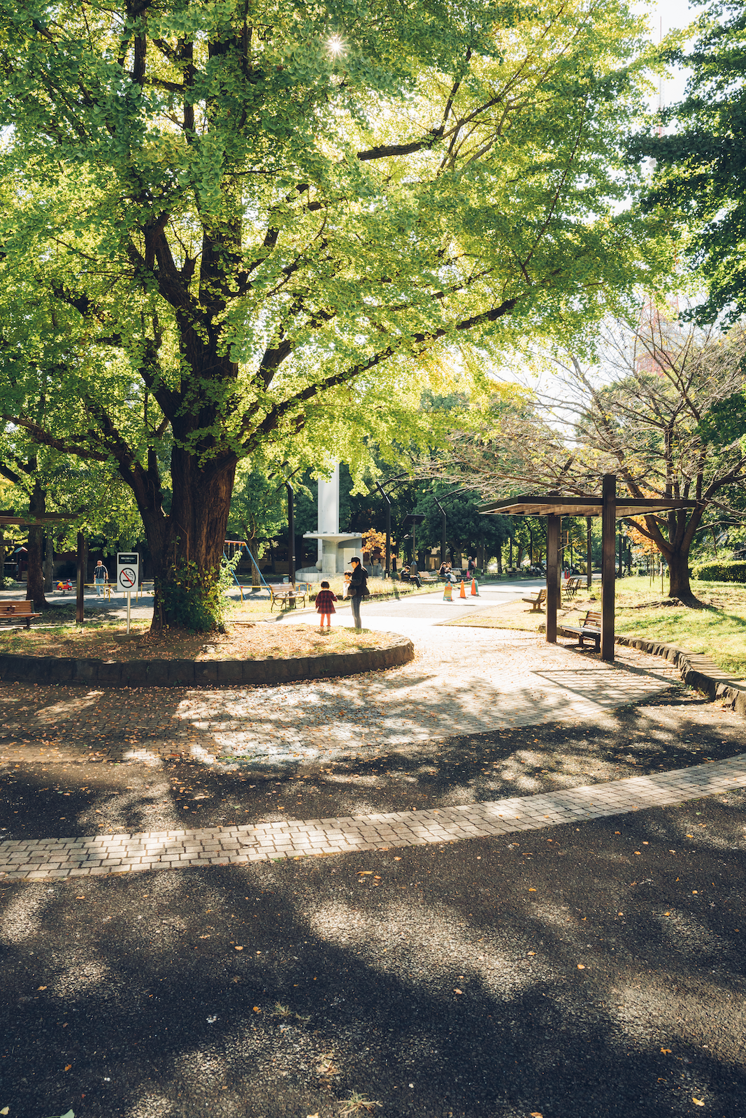 Lush green trees in Shiba Park providing shade in the day, with a parent and child at a distance